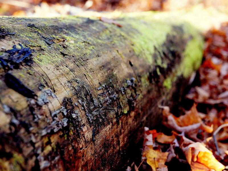 sudoku smart puzzle screenshot 3